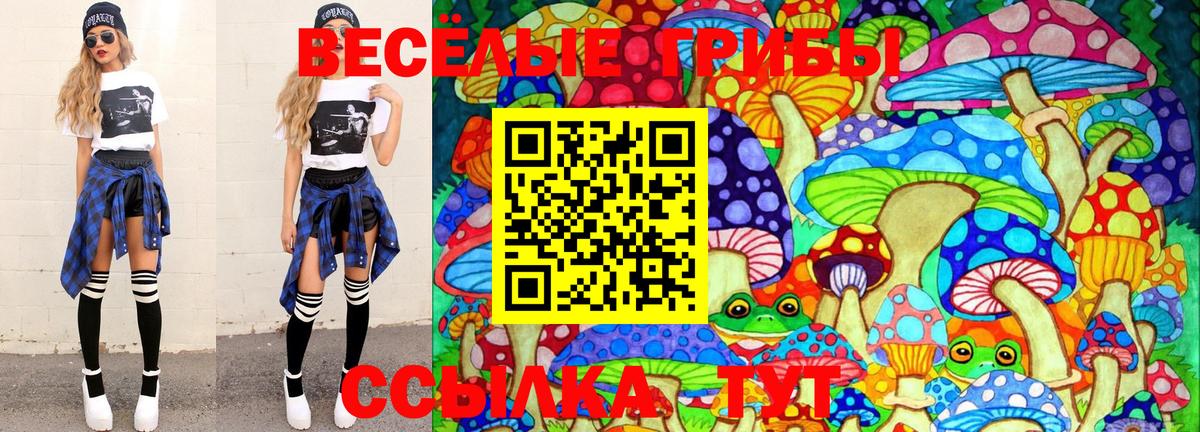 Ейск  Псилоцибиновые грибы MAGIC MUSHROOMS  Галлюциногенные грибы мухоморы  Вход с VPN 