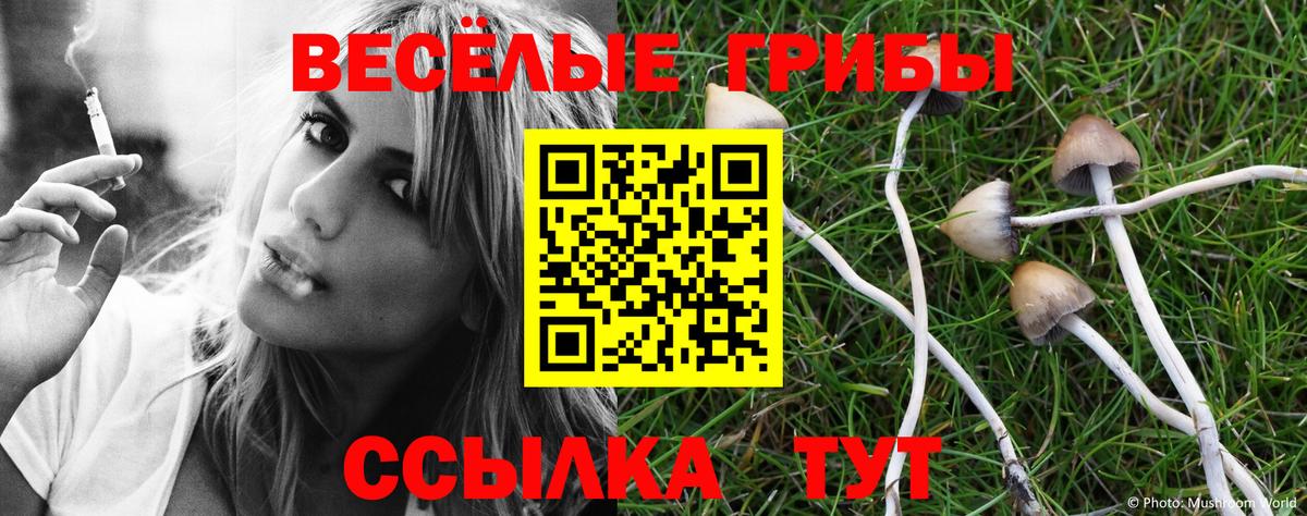 Галлюциногенные грибы Magic Shrooms Ейск